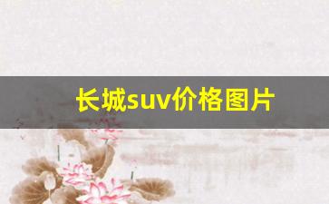 长城suv价格图片 新款(长城suv价格图片 新款)_https://www.wguangz.com_大商所_第1张